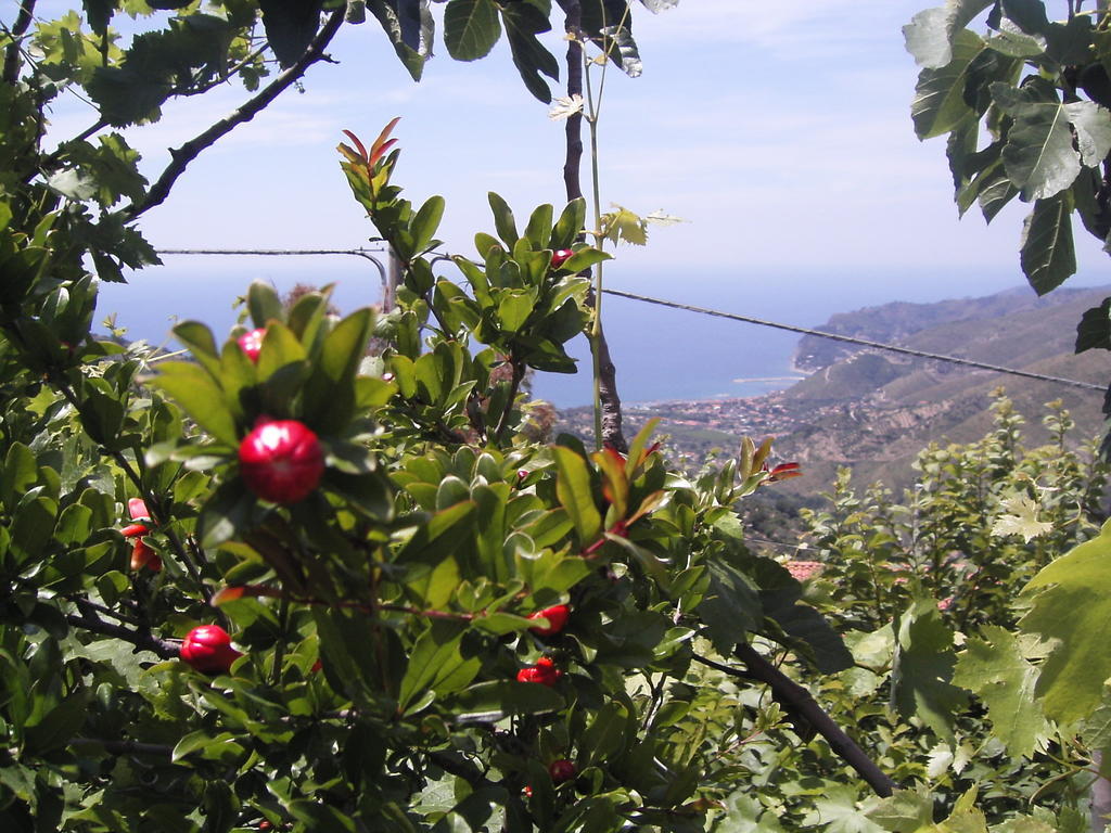 Cilento Acomodação com café da manhã San Mauro Cilento Exterior foto